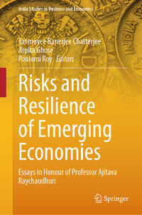 Vorderes Coverbild Risks and Resilience of Emerging Economies