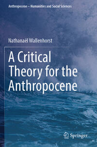 A Critical Theory for the Anthropocene