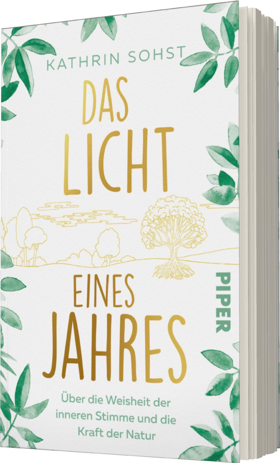 Das Licht eines Jahres