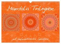 Mandala Trilogien (Wandkalender 2025 DIN A3 quer), CALVENDO Monatskalender