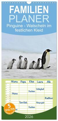 Familienplaner 2026 - Pinguine - Watscheln im festlichen Kleid mit 5 Spalten (Wandkalender, 21 x 45 cm) CALVENDO