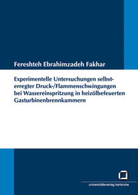 Experimentelle Untersuchungen selbsterregter Druck-/Flammenschwingungen bei Wassereinspritzung in heizölbefeuerten Gasturbinenbrennkammern