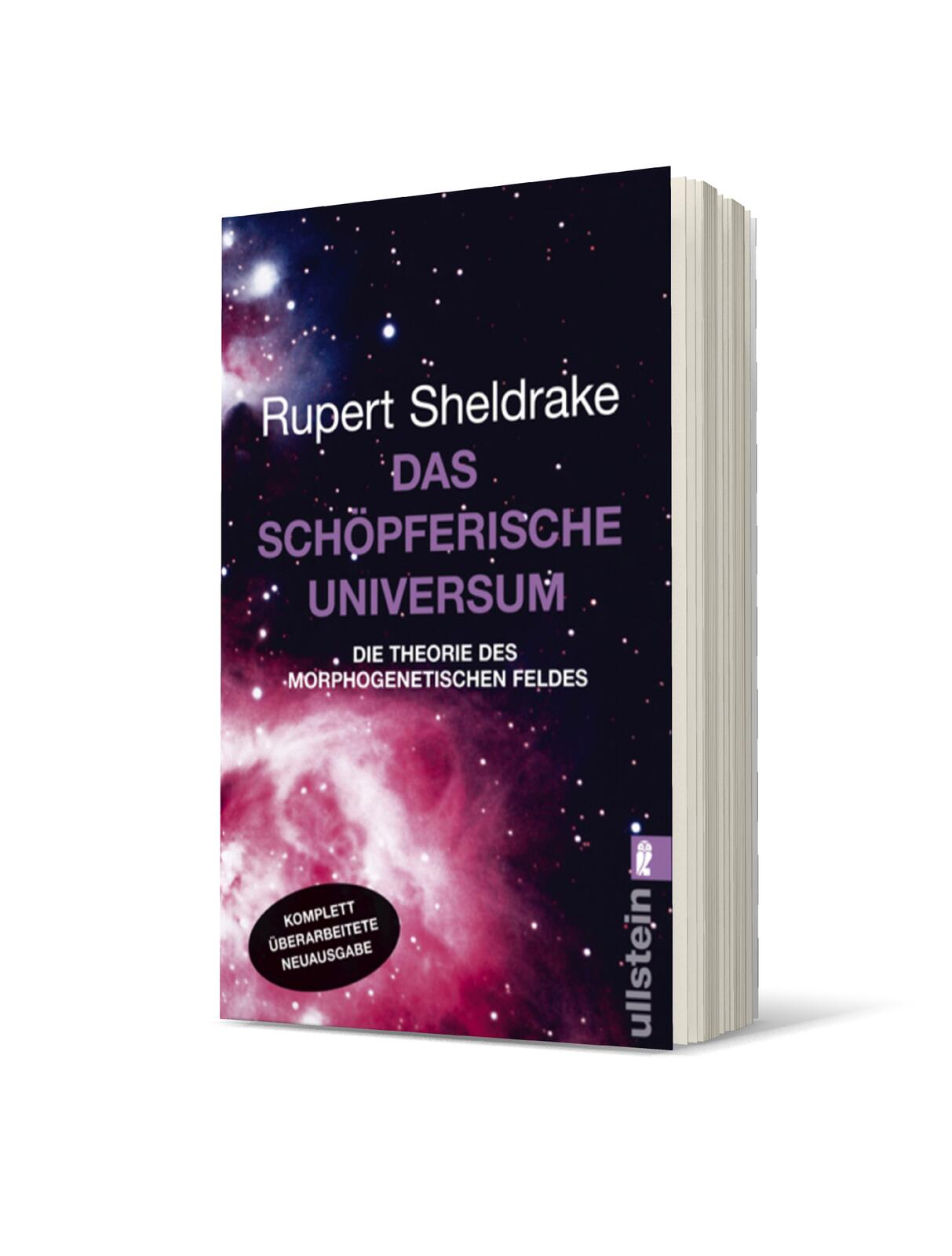 Das schöpferische Universum