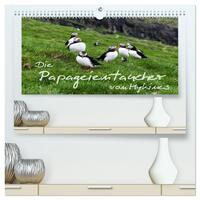 Die Papageientaucher von Mykines (hochwertiger Premium Wandkalender 2026 DIN A2 quer), Kunstdruck in Hochglanz