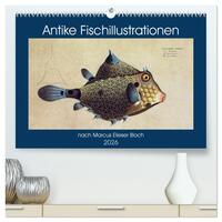 Antike Fischillustrationen nach Marcus Elieser Bloch (hochwertiger Premium Wandkalender 2026 DIN A2 quer), Kunstdruck in Hochglanz