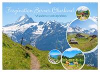 Faszination Berner Oberland - Wanderlust und Gipfelblick (Wandkalender 2026 DIN A2 quer), CALVENDO Monatskalender