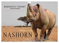 Bedrohte Tierart - Nashorn (Wandkalender 2026 DIN A4 quer), CALVENDO Monatskalender