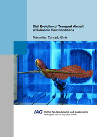 Stall Evolution of Transport Aircraft at Subsonic Flow Conditions