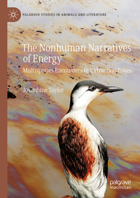 The Nonhuman Narratives of Energy