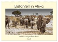 Vorderes Coverbild Elefanten in Afrika - Die mit den großen Ohren (Wandkalender 2025 DIN A3 quer), CALVENDO Monatskalender