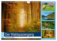 Der Waldspaziergang (Wandkalender 2026 DIN A4 quer), CALVENDO Monatskalender