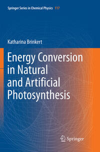 Energy Conversion in Natural and Artificial Photosynthesis