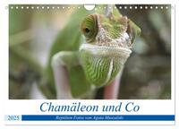 Chamäleon und Co (Wandkalender 2025 DIN A4 quer), CALVENDO Monatskalender