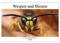 Faszination Makrofotografie: Wespen und Bienen (Wandkalender 2025 DIN A4 quer), CALVENDO Monatskalender