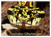 Faszination Giftschlangen (Wandkalender 2026 DIN A3 quer), CALVENDO Monatskalender