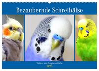 Bezaubernde Schreihälse. Wellen- und Nymphensittiche (Wandkalender 2025 DIN A2 quer), CALVENDO Monatskalender