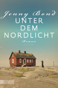 Unter dem Nordlicht