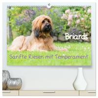 Briards - sanfte Riesen mit Temperament (hochwertiger Premium Wandkalender 2026 DIN A2 quer), Kunstdruck in Hochglanz