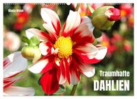 Traumhafte Dahlien (Wandkalender 2026 DIN A2 quer), CALVENDO Monatskalender