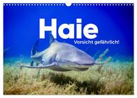 Haie - Vorsicht gefährlich! (Wandkalender 2025 DIN A3 quer), CALVENDO Monatskalender