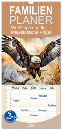 Familienplaner 2026 - Weißkopfseeadler - Majestätische Vögel mit 5 Spalten (Wandkalender, 21 x 45 cm) CALVENDO
