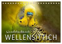 Wunderschöner Wellensittich (Tischkalender 2026 DIN A5 quer), CALVENDO Monatskalender