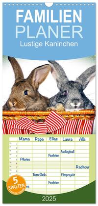 Familienplaner 2025 - Lustige Kaninchen mit 5 Spalten (Wandkalender, 21 x 45 cm) CALVENDO