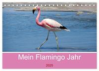 Mein Flamingo Jahr (Tischkalender 2025 DIN A5 quer), CALVENDO Monatskalender