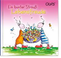 Vorderes Coverbild Ein bunter Strauß Lebensfreude