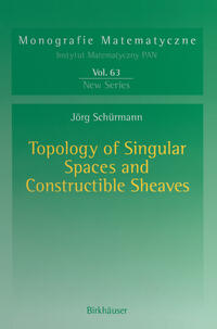 Topology of Singular Spaces and Constructible Sheaves