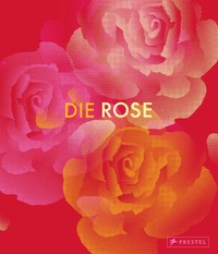 Die Rose