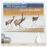 Mit Kranichen durch das Jahr (hochwertiger Premium Wandkalender 2026 DIN A2 quer), Kunstdruck in Hochglanz