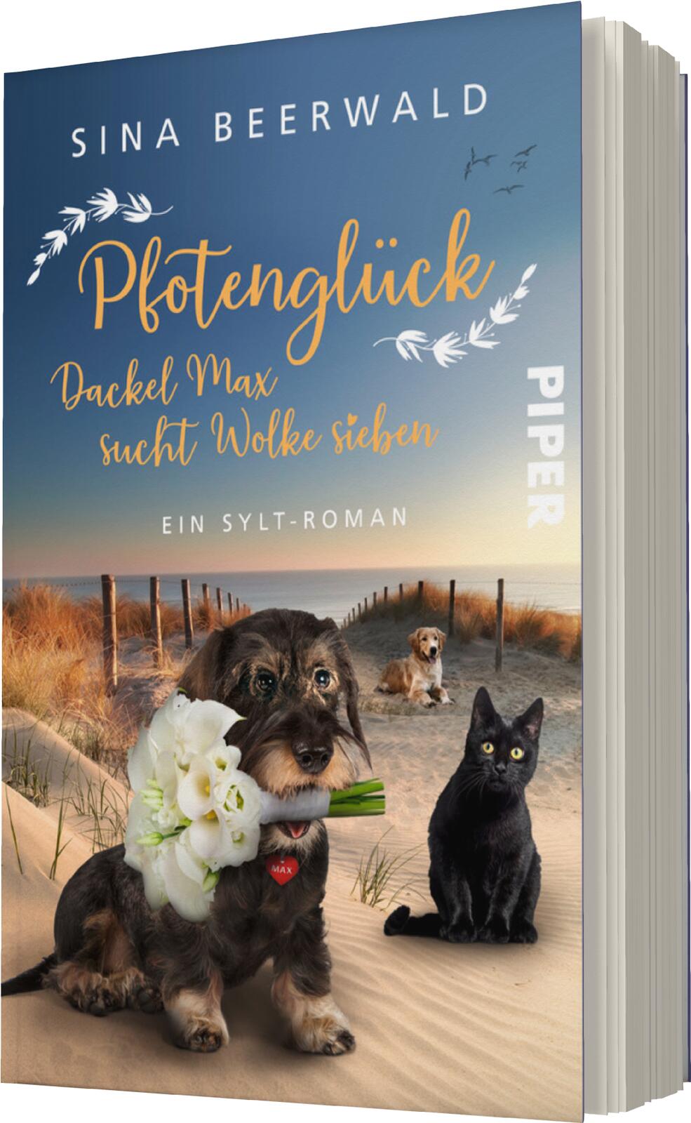 Pfotenglück – Dackel Max sucht Wolke sieben