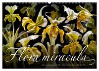 Flora miracula - Die wundersame Welt des Fotografen Olaf Bruhn (Wandkalender 2025 DIN A2 quer), CALVENDO Monatskalender