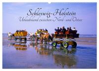 Vorderes Coverbild Schleswig-Holstein, Urlaubsland zwischen Nord- und Ostsee (Wandkalender 2025 DIN A2 quer), CALVENDO Monatskalender
