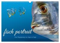 Vorderes Coverbild fisch portrait (Wandkalender 2025 DIN A3 quer), CALVENDO Monatskalender