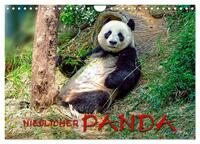 Niedlicher Panda (Wandkalender 2025 DIN A4 quer), CALVENDO Monatskalender
