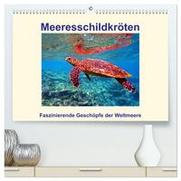 Meeresschildkröten – Faszinierende Geschöpfe der Weltmeere (hochwertiger Premium Wandkalender 2025 DIN A2 quer), Kunstdruck in Hochglanz