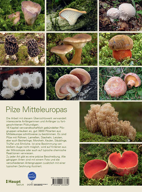 Rückseitencover Pilze Mitteleuropas