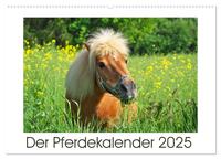 Der Pferdekalender (Wandkalender 2025 DIN A2 quer), CALVENDO Monatskalender