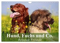 Hund, Fuchs und Co. Reizende Freunde (Wandkalender 2025 DIN A4 quer), CALVENDO Monatskalender