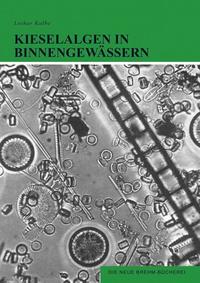 Kieselalgen in Binnengewässern