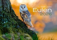 Vorderes Coverbild Eulen Kalender 2026