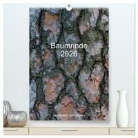 Baumrinde 2026 (hochwertiger Premium Wandkalender 2026 DIN A2 hoch), Kunstdruck in Hochglanz