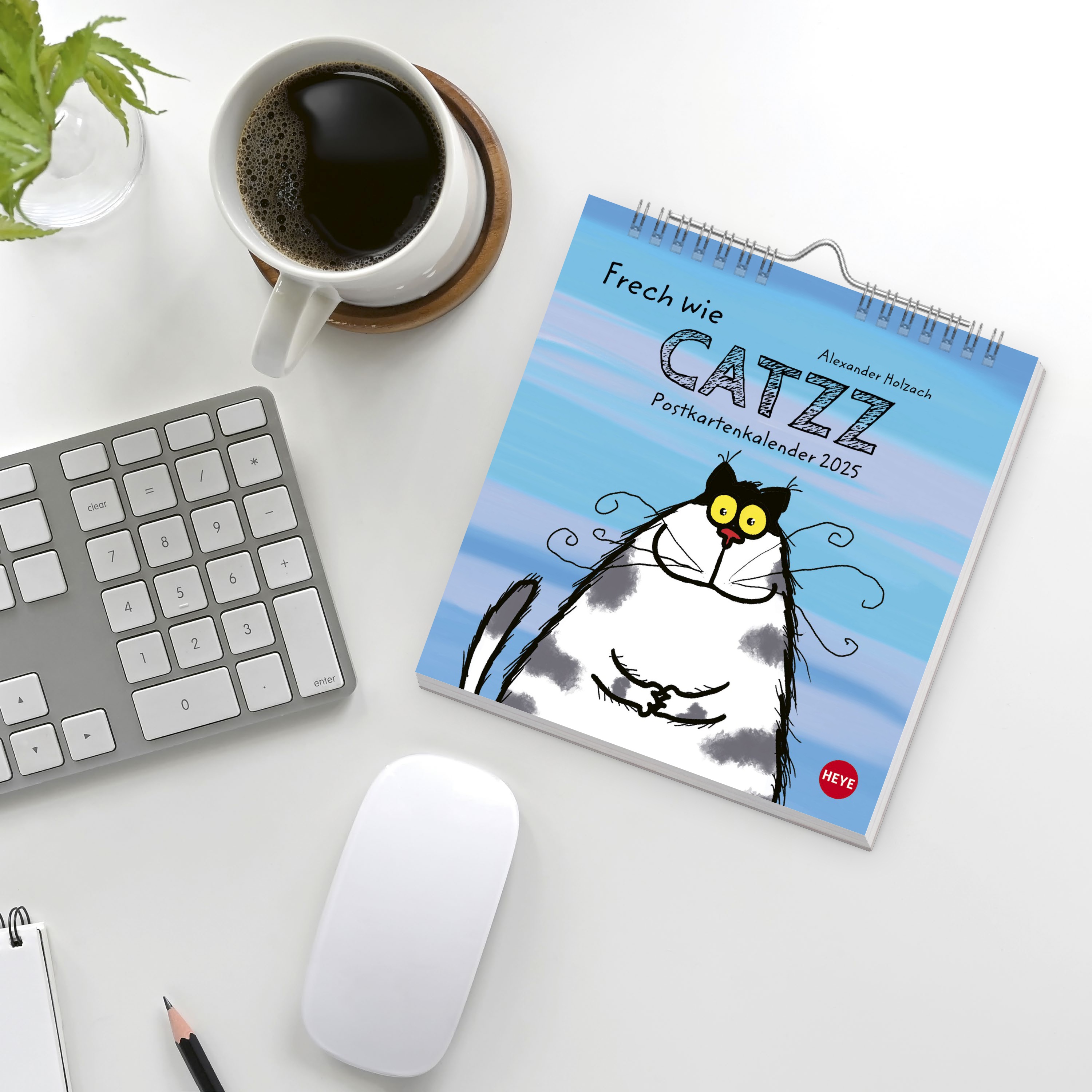 Catzz Postkartenkalender 2025