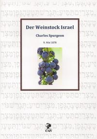 Der Weinstock Israel