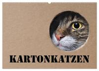 Vorderes Coverbild Karton Katzen (Wandkalender 2025 DIN A2 quer), CALVENDO Monatskalender