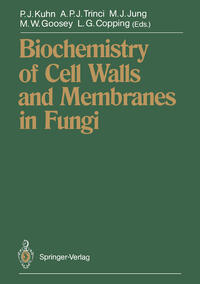 Vorderes Coverbild Biochemistry of Cell Walls and Membranes in Fungi