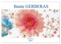 Bunte Gerberas (Wandkalender 2025 DIN A2 quer), CALVENDO Monatskalender