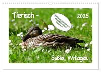 Tierisch - Süßes, Witziges. (Wandkalender 2025 DIN A3 quer), CALVENDO Monatskalender